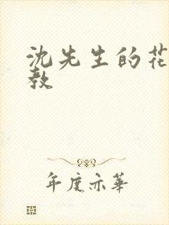 沈先生的花式管教