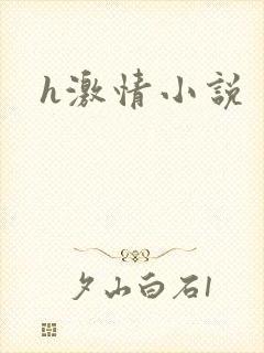 h激情小说