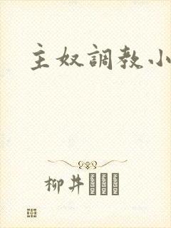 主奴调教小说封面