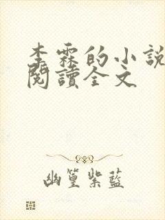 李霖的小说免费阅读全文