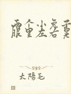 两个小兔子在衣服里左右晃