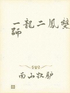 一龙二凤双飞老师