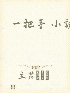 一把手 小说