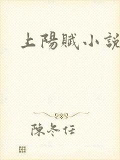 上阳赋小说