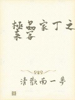 极品家丁之远方来客