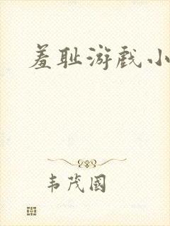 羞耻游戏小说