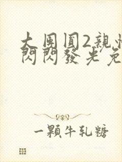大团圆2亲情会闪闪发光免费
