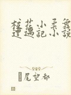 校花小柔舞蹈室遭遇记小说