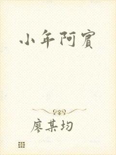 小年阿宾封面
