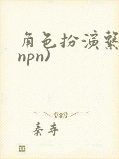 角色扮演系统(npn)封面