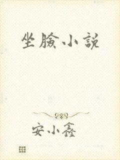 坐脸小说