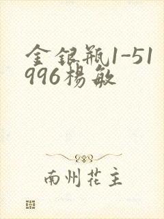 金银瓶1-51996杨敏封面