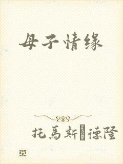 母子情缘封面