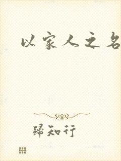 以家人之名小说