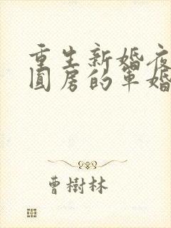 重生新婚夜正在圆房的军婚