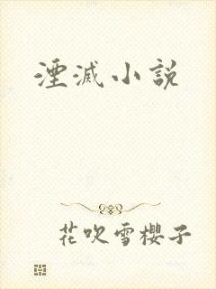 湮灭小说