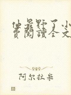 他最野了小说免费阅读全文