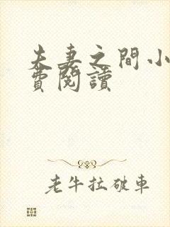 夫妻之间小说免费阅读