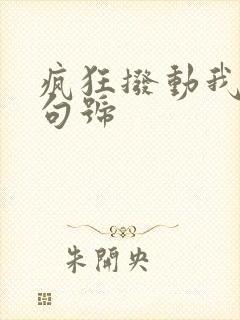疯狂拨动我的小句号封面
