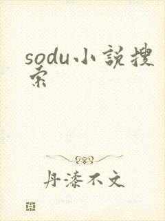 sodu小说搜索封面