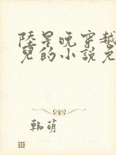 陆星晚穿越成婴儿的小说免费阅读全文