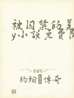 被囚禁的美人by小说免费阅读封面