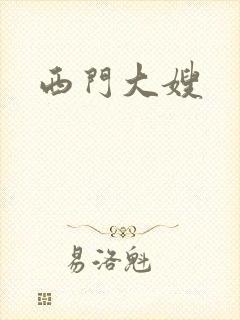 西门大嫂封面