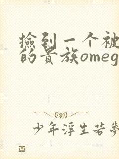 捡到一个被抹布的贵族omega