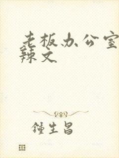 老板办公室系列辣文