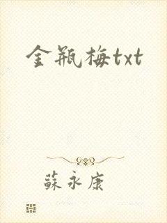 金瓶梅txt封面