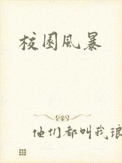 校园风暴封面