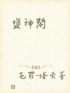 盐神阁封面