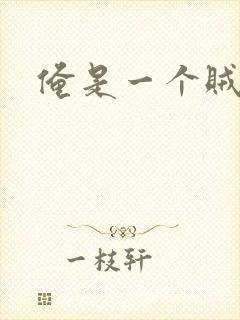 俺是一个贼
