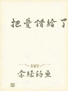 把爱错给了你