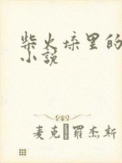柴火垛里的疯狂小说封面