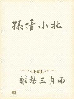 孙倩小北封面
