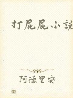 打屁屁小说