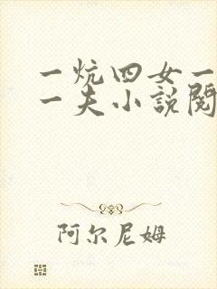 一炕四女一共侍一夫小说阅读