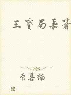 三宝局长萧燕封面