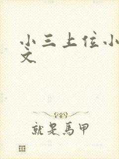 小三上位小说全文