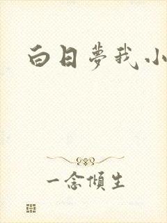 白日梦我小说