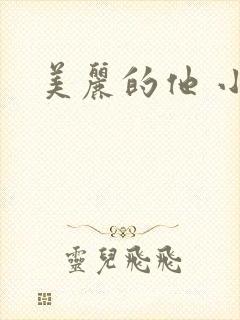美丽的他 小说