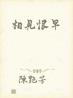 相见恨早封面