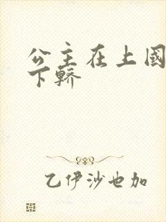 公主在上国师请下轿