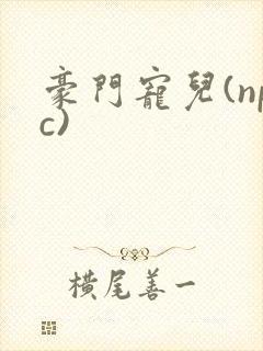 豪门宠儿(npc)