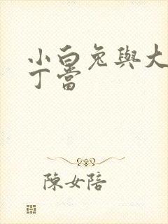 小白兔与大灰狼丁当
