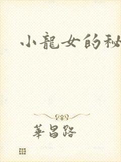 小龙女的秘密