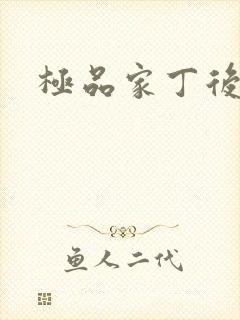 极品家丁后传
