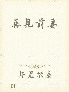 再见前妻封面
