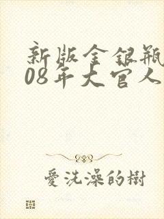 新版金银瓶2008年大官人